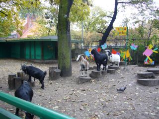 e0039206_23581396.jpg