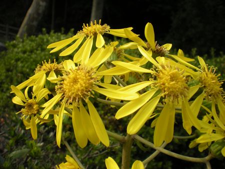 b0061107_22312638.jpg