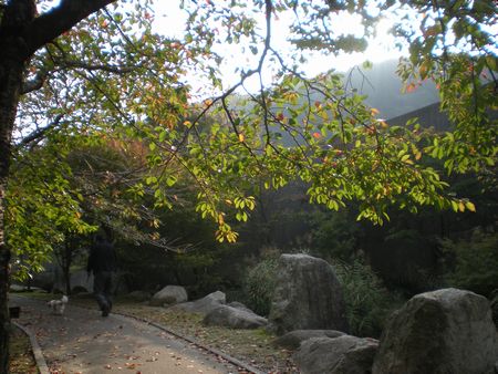 b0061107_22313915.jpg