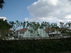 c0190010_2215469.jpg