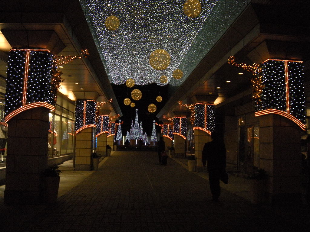 c0201411_2356782.jpg