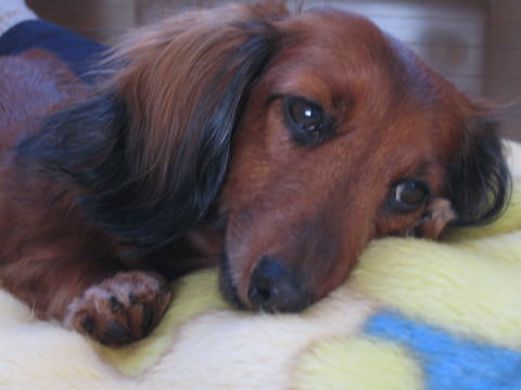 a0037322_1543048.jpg