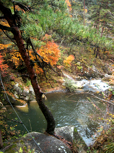 d0131523_12412037.jpg