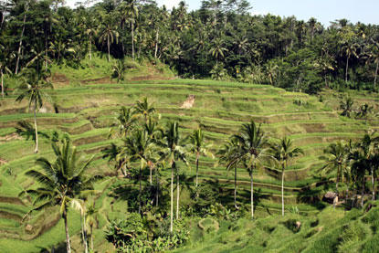 f0137324_2050318.jpg