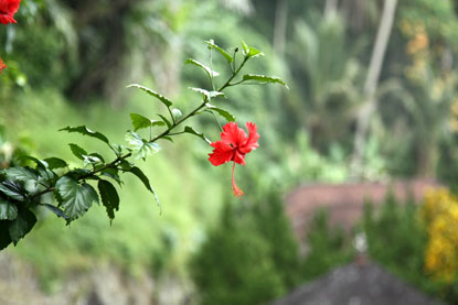 f0137324_22501535.jpg
