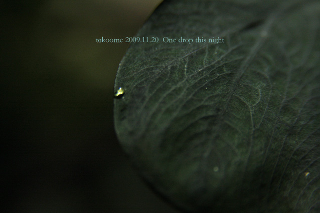 d0042827_0113369.jpg