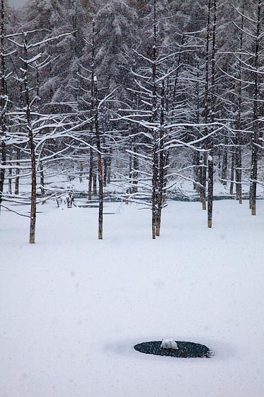 e0025030_1854716.jpg