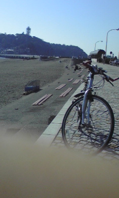 c0001632_11465432.jpg