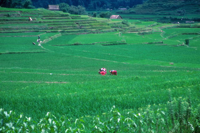 d0091834_13571811.jpg