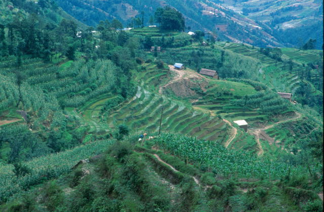 d0091834_13574012.jpg