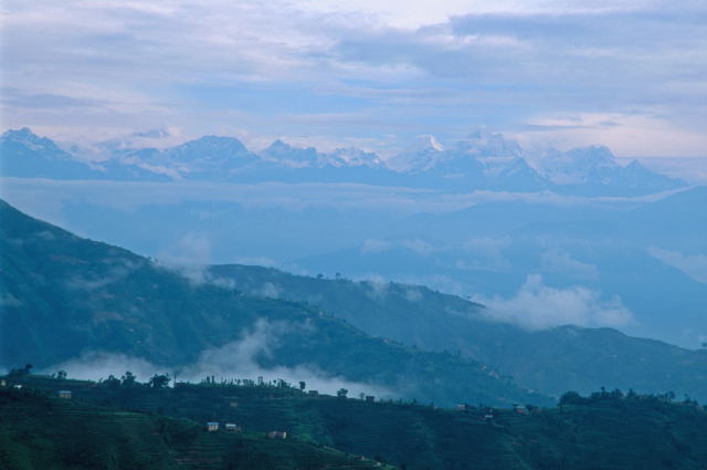d0091834_1358459.jpg