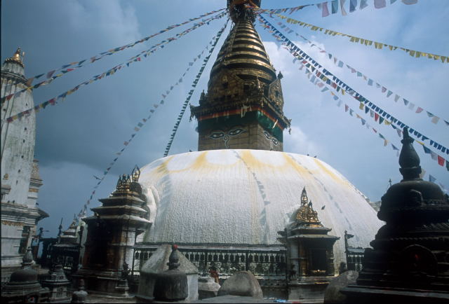 d0091834_1403394.jpg