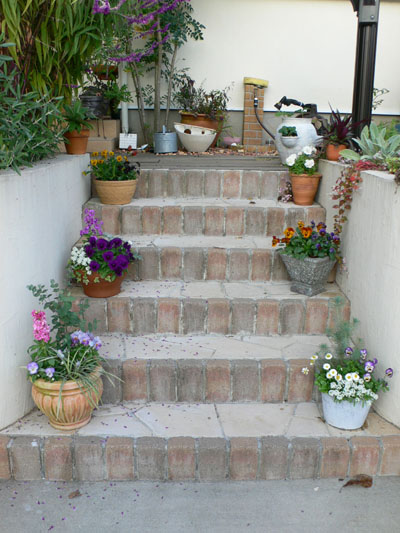 f0061334_2159492.jpg