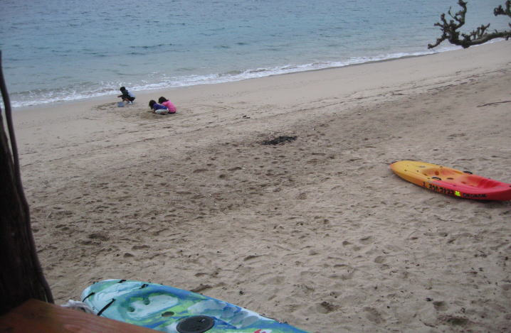 b0100637_21232472.jpg