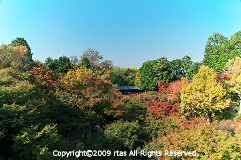 b0029540_20363985.jpg