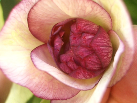 c0025140_158431.jpg