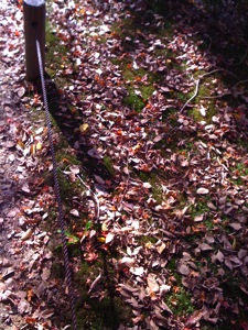 f0201741_1891862.jpg