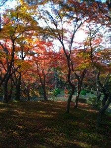 f0201741_189535.jpg