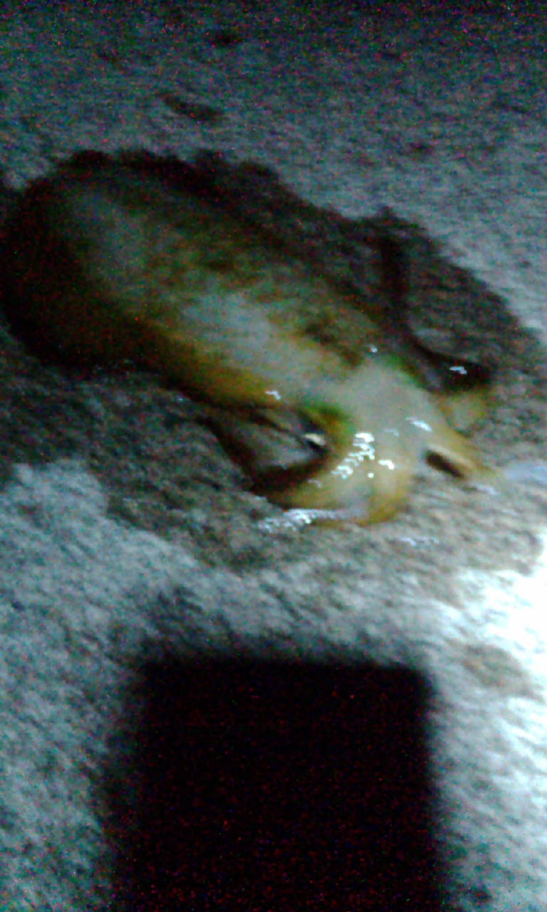 c0026846_1644993.jpg