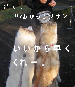 e0121548_1446916.jpg