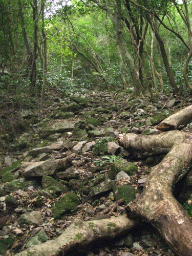 c0179351_22164333.jpg