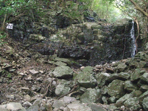c0179351_22211139.jpg