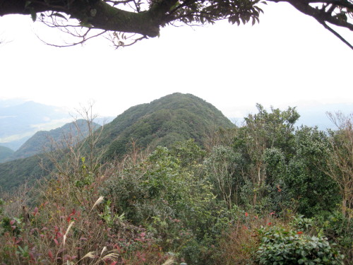 c0179351_22494677.jpg