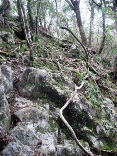 c0179351_2250195.jpg