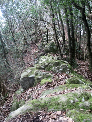 c0179351_22505894.jpg