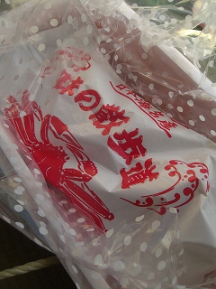 f0009451_20144121.jpg