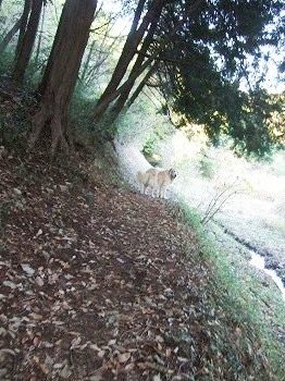 c0097558_22274592.jpg
