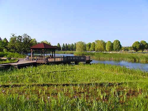 c0119160_9314045.jpg