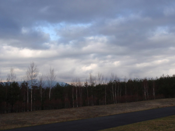 c0110361_135326.jpg