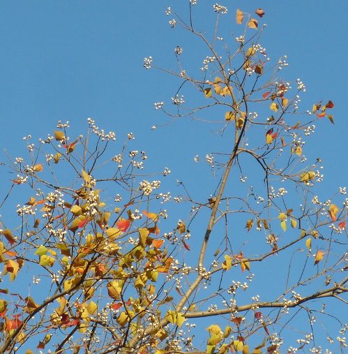 a0063364_23375183.jpg