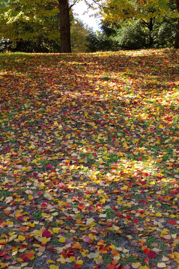 b0084270_123335.jpg