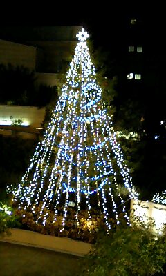 e0143671_11312342.jpg