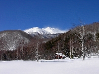 f0182173_11274210.jpg