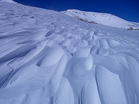 f0182173_11281496.jpg