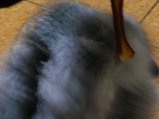 d0147774_1221743.jpg