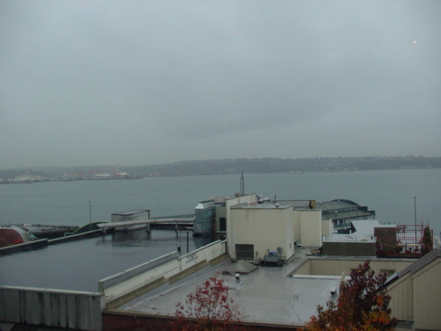 f0129786_745111.jpg