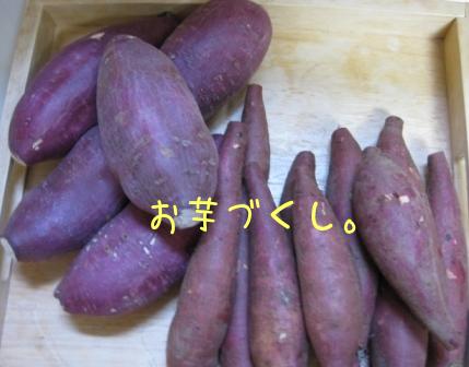 f0143386_20491461.jpg