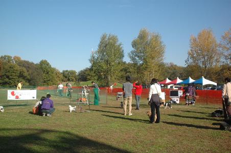 c0123890_22171914.jpg