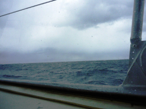 f0029393_5431870.jpg