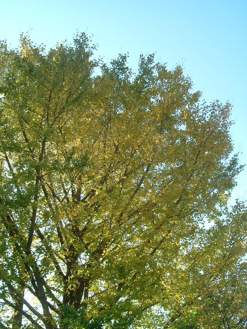 b0183497_14232247.jpg