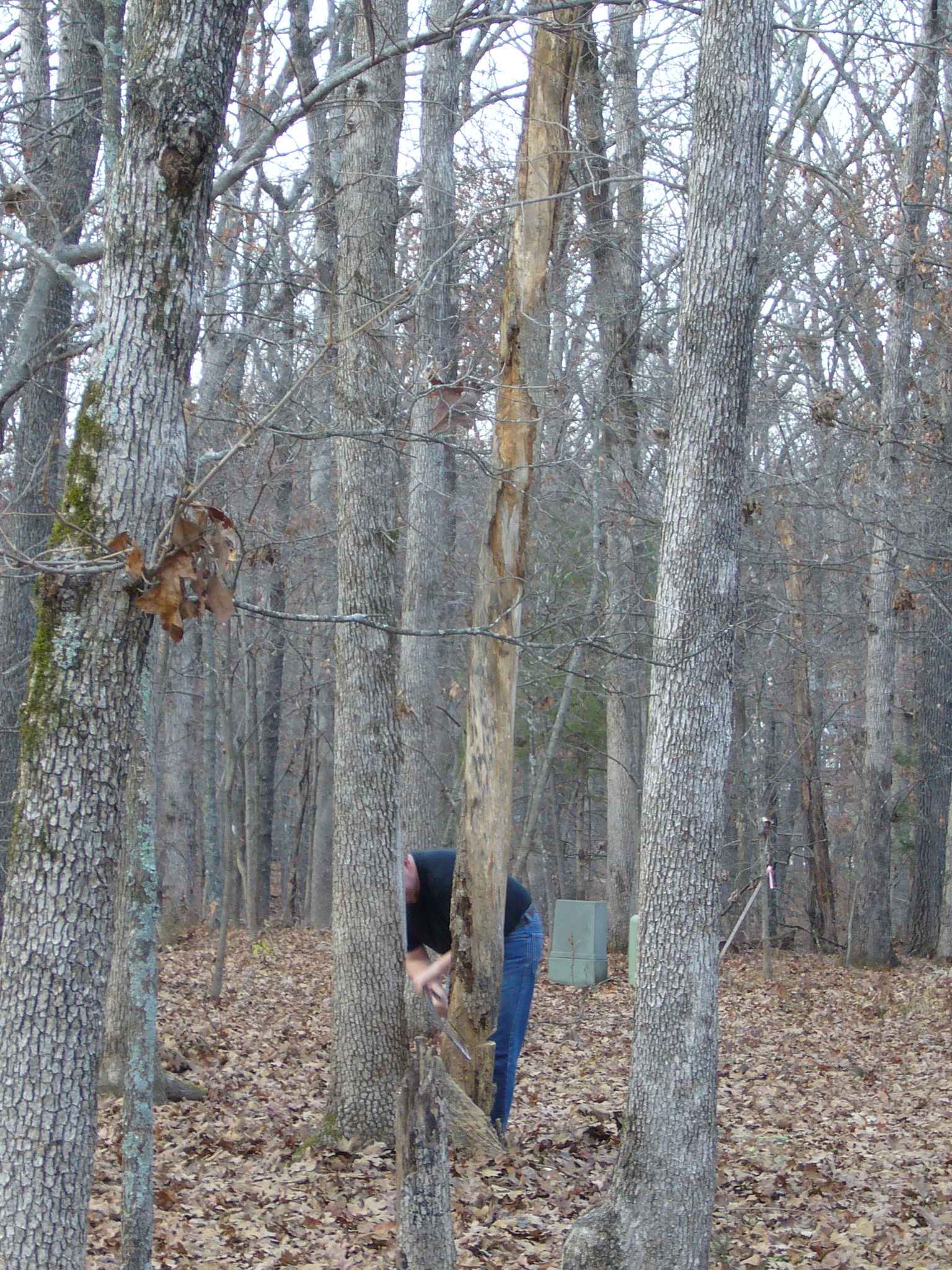 f0169397_9131023.jpg