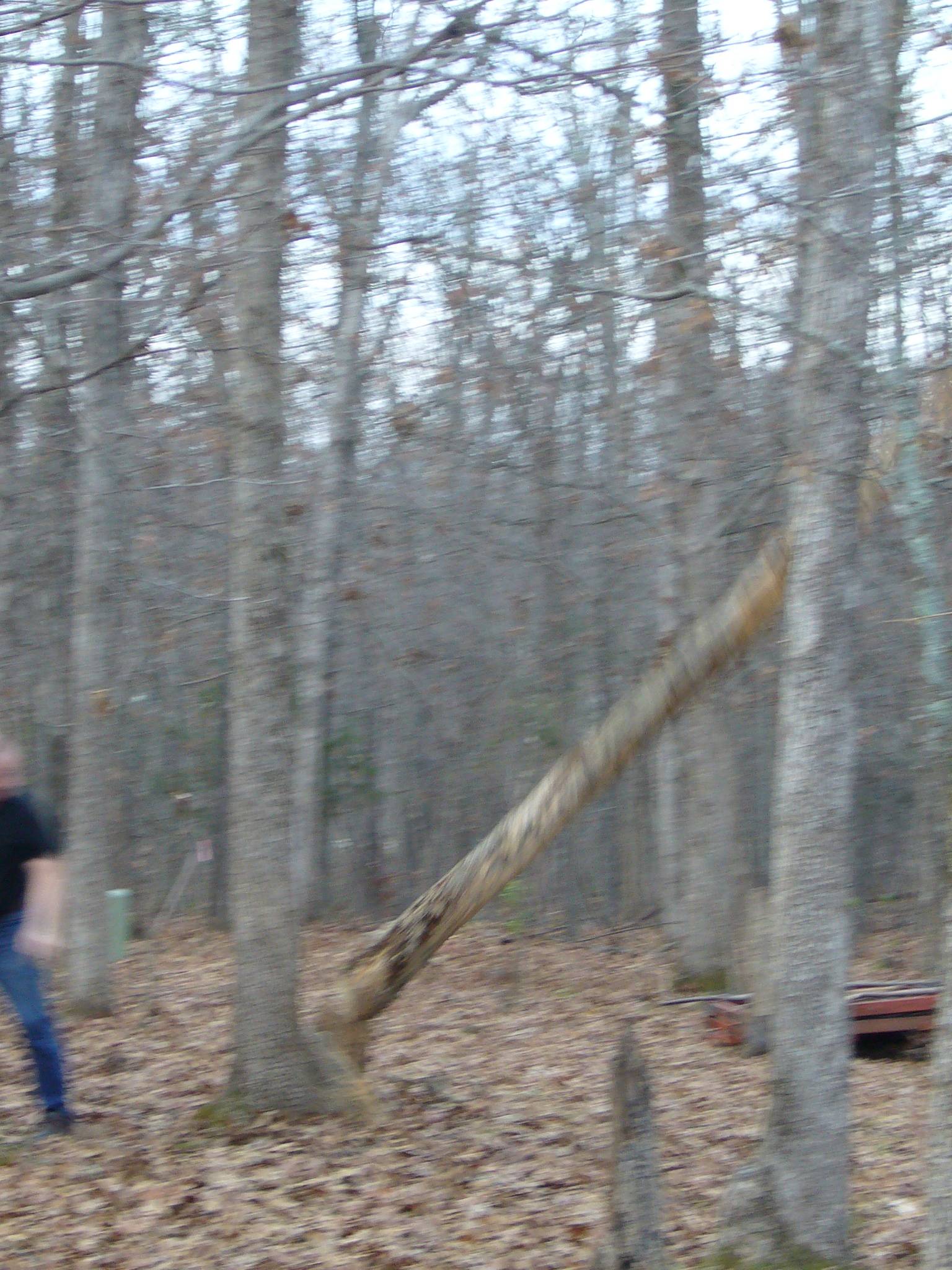 f0169397_9135029.jpg