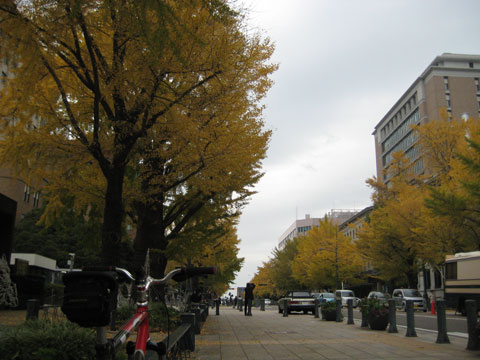 b0097200_18184783.jpg