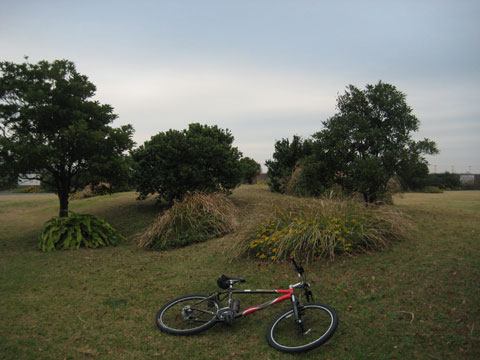 b0097200_18212411.jpg