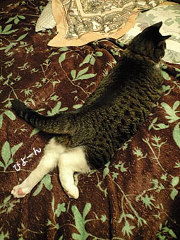 c0035001_15512051.jpg