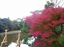 c0151903_15124159.jpg